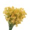 Myosotis Artificial Flowers Bulk Plastic Faux Bouquets Floral Greenery Stems Mothers Day Gift, 10pcs